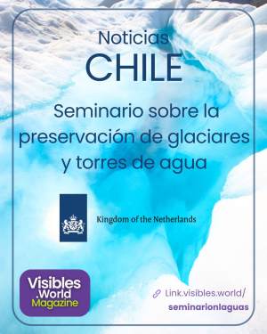 Preservación Glacial y Diálogo Internacional: Un Seminario Web que Trasciendió Fronteras