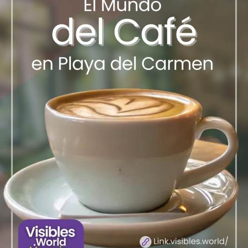 El mundo del Café en Playa del Carmen: La Especialidad y su diversidad