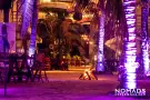 Nomads Isla Mujeres evento IMG 0699