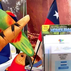 Municipalidad de Providencia