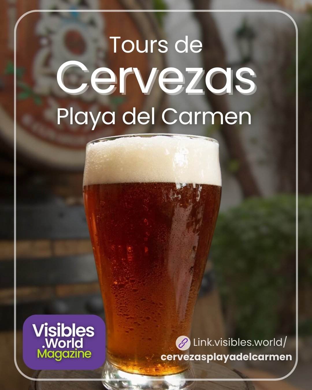 tours playa del carmen, cervezas artesanales, tour gastronomicos