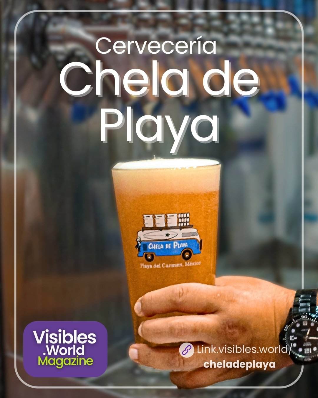 tours playa del carmen, cervezas artesanales, tour gastronomicos